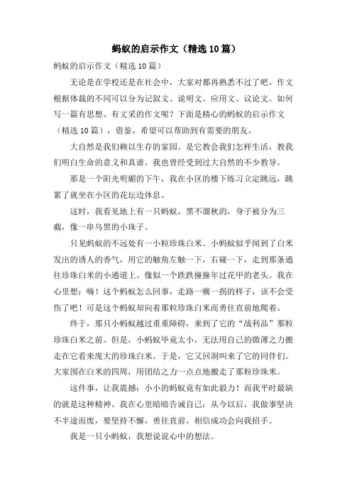 蚂蚁的启示作文(10篇)