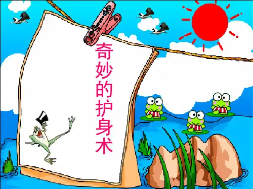 《9 奇妙的护身术》(课堂PPT)