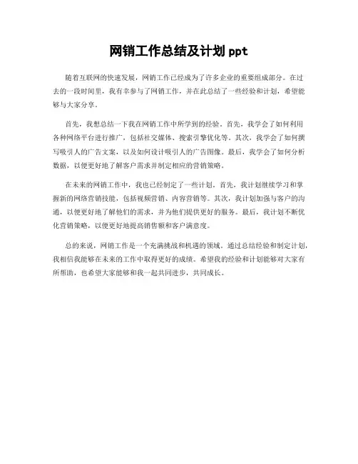 网销工作总结及计划ppt