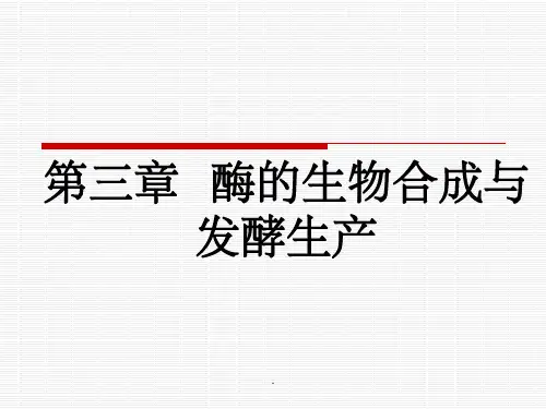 第三章  酶的生物合成