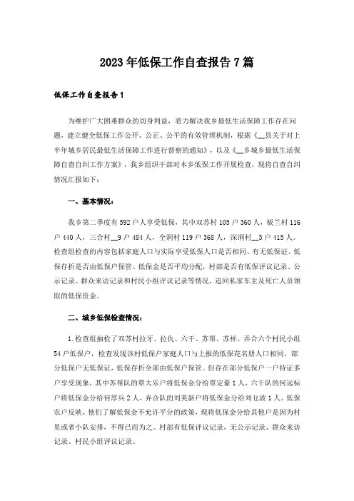 2023年低保工作自查报告7篇