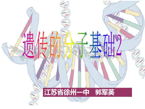 遗传的分子基础ppt2 苏教版
