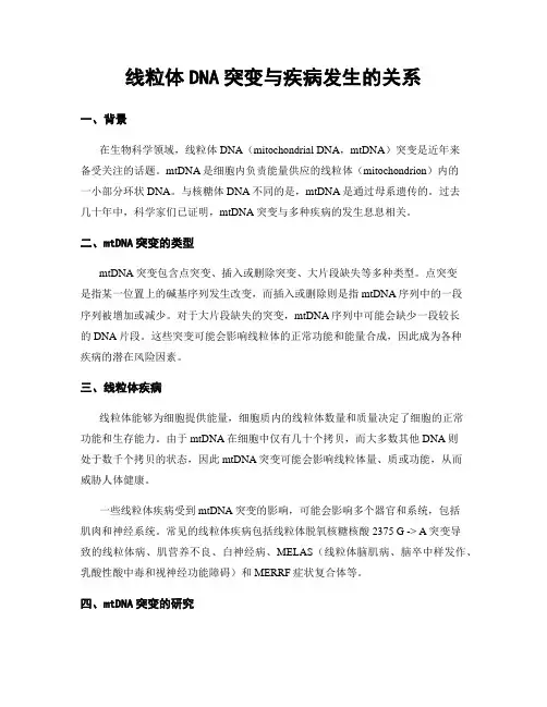 线粒体DNA突变与疾病发生的关系
