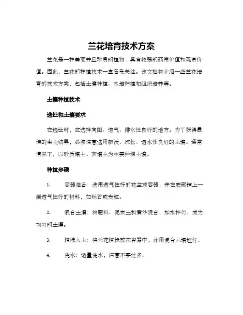 兰花培育技术方案