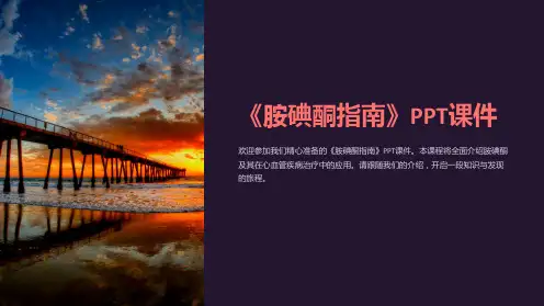 《胺碘酮指南》课件