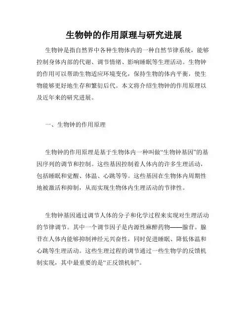 生物钟的作用原理与研究进展