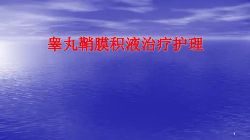 睾丸鞘膜积液ppt课件