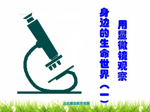 最新科教版六年级科学下册《用显微镜观察身边的生命世界》精品课件