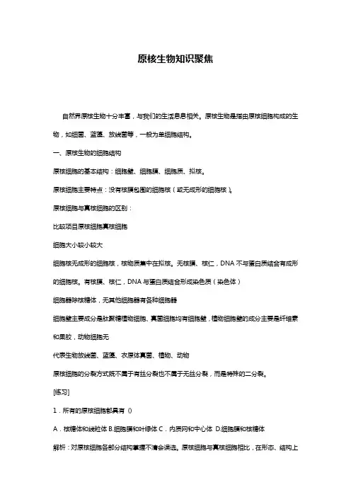 原核生物知识聚焦