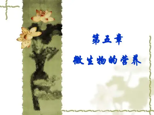 异养型微生物