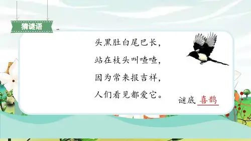 6树和喜鹊第1课时课件共16张PPT