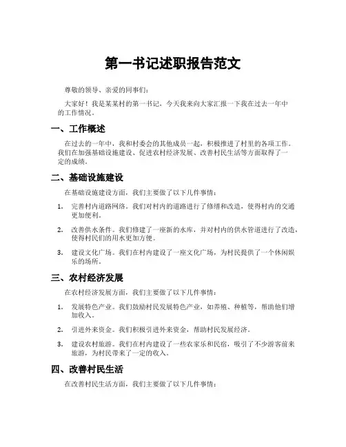 第一书记述职报告范文