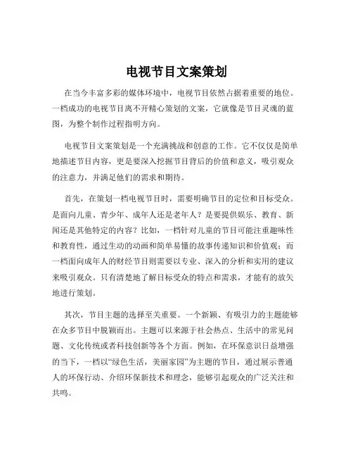 电视节目文案策划