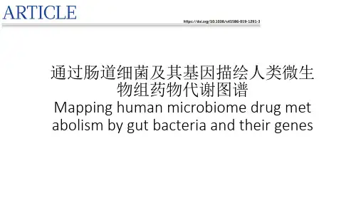 肠道菌群代谢药物