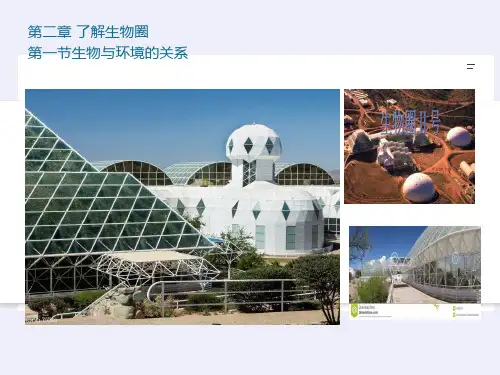 2.1 生物与环境的关系-人教版七年级上册生物课件(共24张PPT)