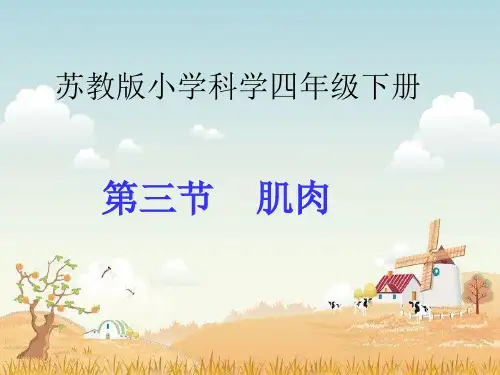 四年级科学下册_肌肉教学课件