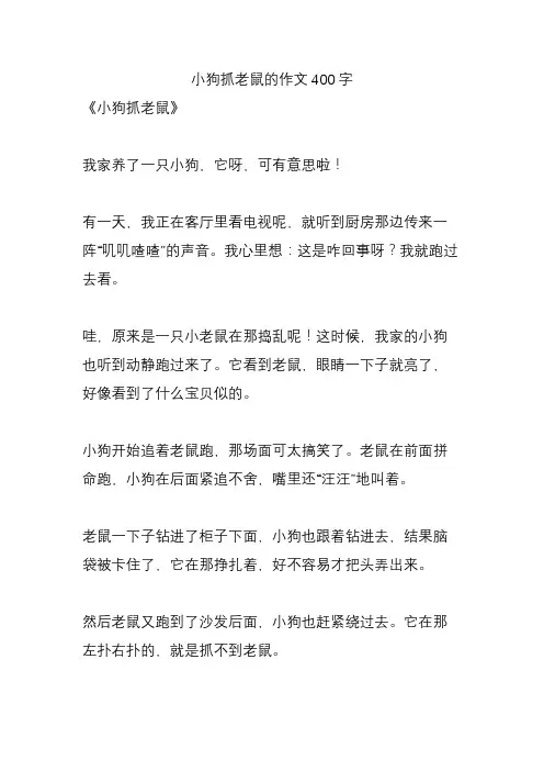 小狗抓老鼠的作文400字