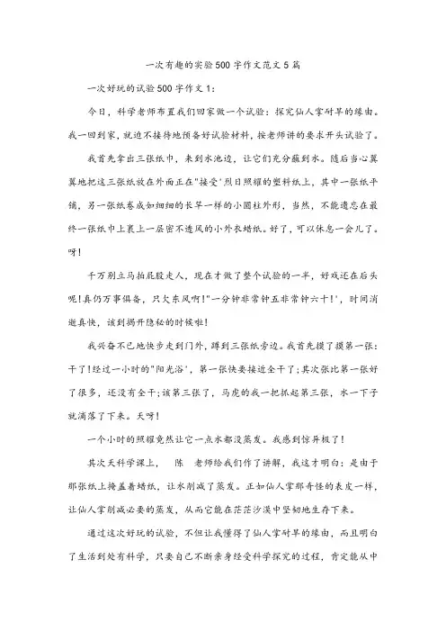 一次有趣的实验500字作文范文5篇