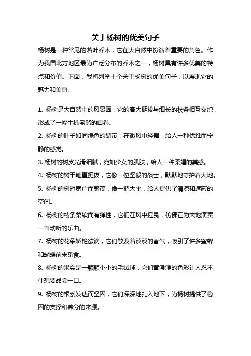 关于杨树的优美句子