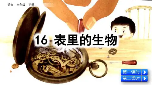 部编版小学六年级语文下册第16课《表里的生物》精品课件