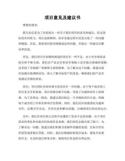 项目意见及建议书