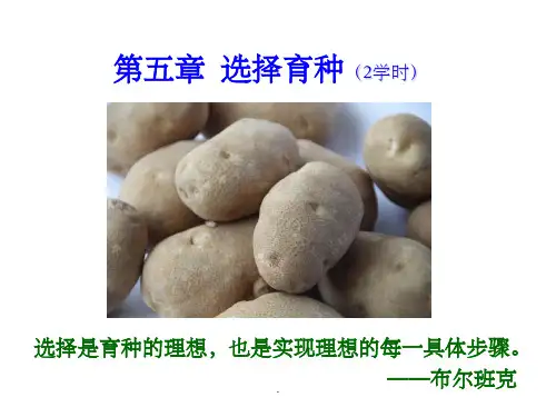育种学 第五章选择育种ppt课件
