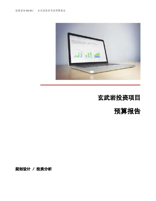 玄武岩投资项目预算报告
