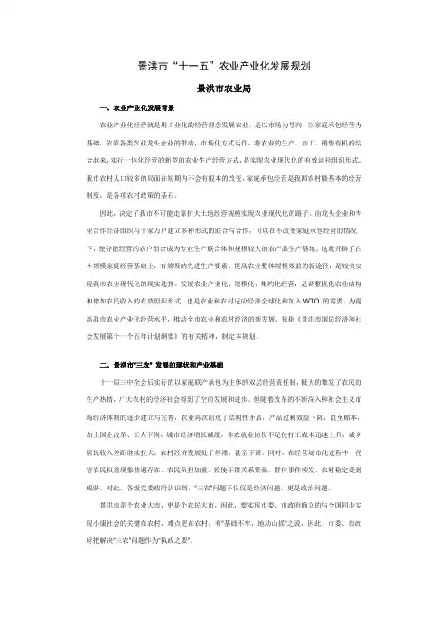 景洪市农业产业化发展规划