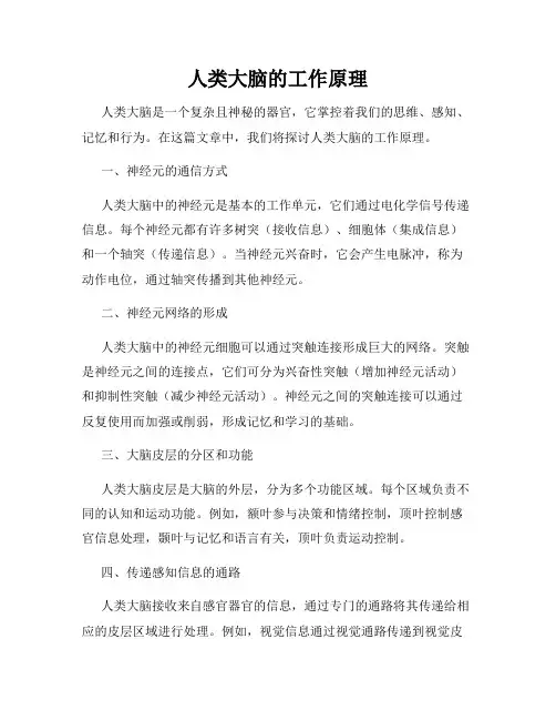 人类大脑的工作原理