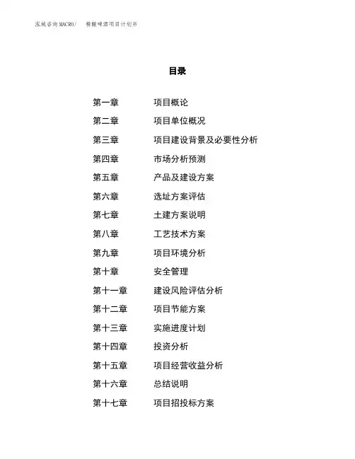 精酿啤酒项目计划书