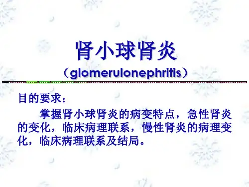 肾小球肾炎PPT课件