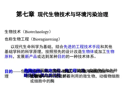 环境生物学s 第7章 现代生物技术与环境污染治理