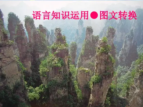 高考复习图文转换ppt1