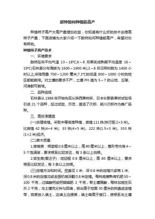 甜柿如何种植能高产