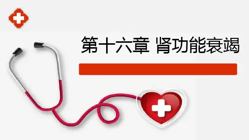 泌尿系统疾病(病理学与病理生理学课件)