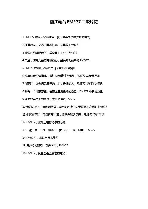 电台片花