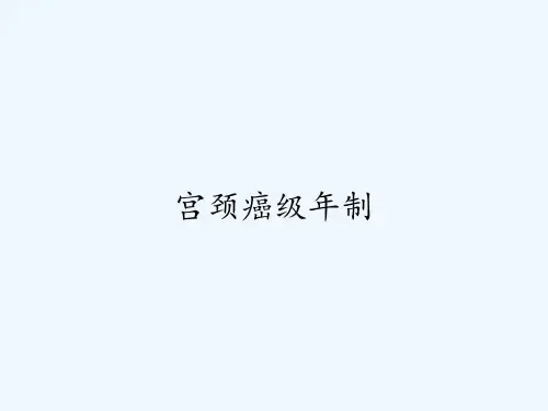 宫颈癌级年制