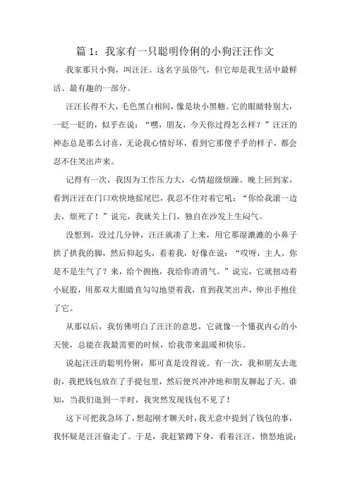 我家有一只聪明伶俐的小狗汪汪作文精选8篇