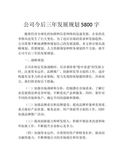 公司今后三年发展规划5800字