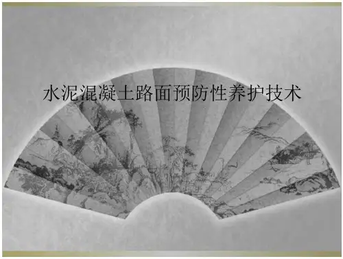 15_水泥混凝土路面预防性养护技术