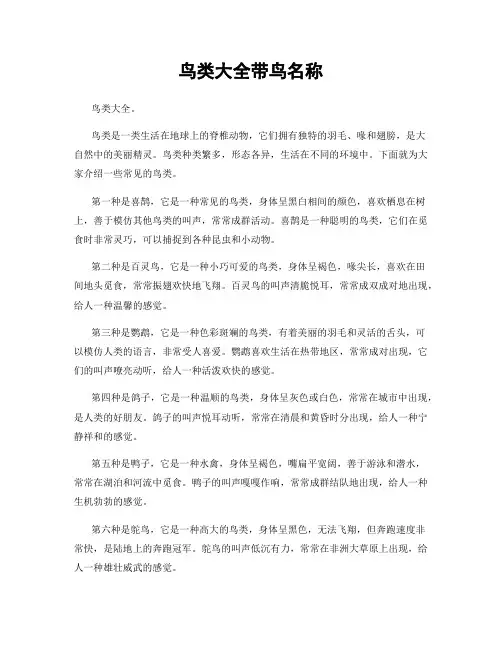 鸟类大全带鸟名称