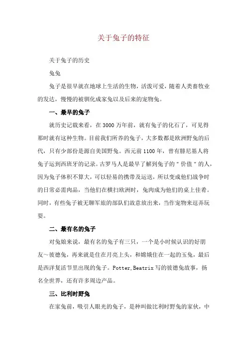 关于兔子的特征