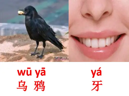 一年级看图写拼音