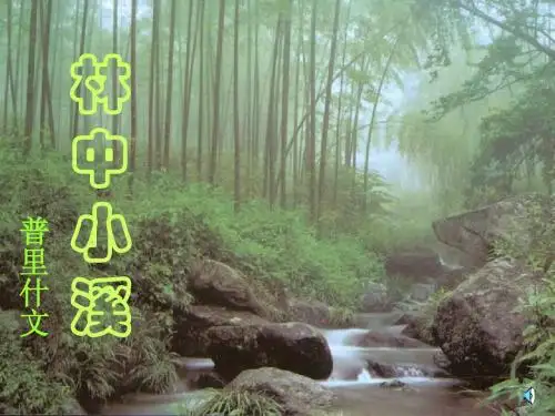 林中小溪两课时