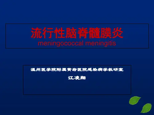 流行性脑脊髓膜炎  ppt课件