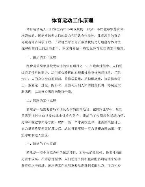 体育运动工作原理