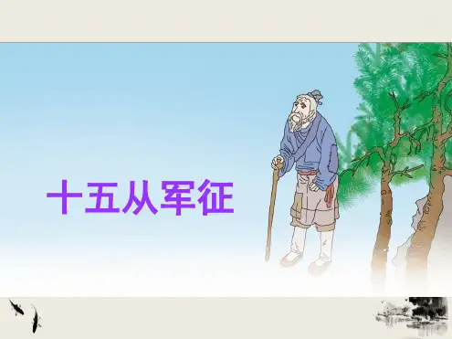 十五从军征优秀获奖课件.ppt