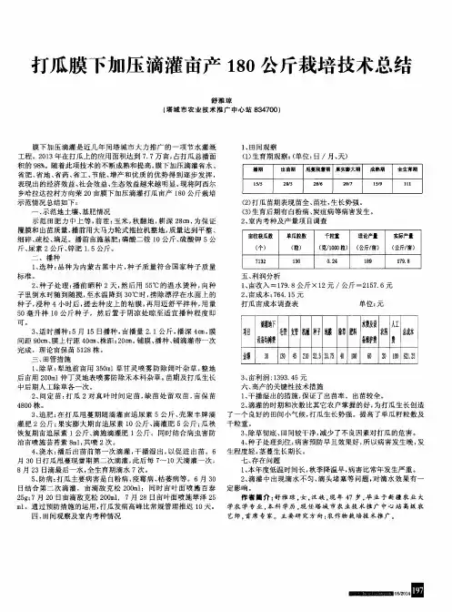 打瓜膜下加压滴灌亩产180公斤栽培技术总结