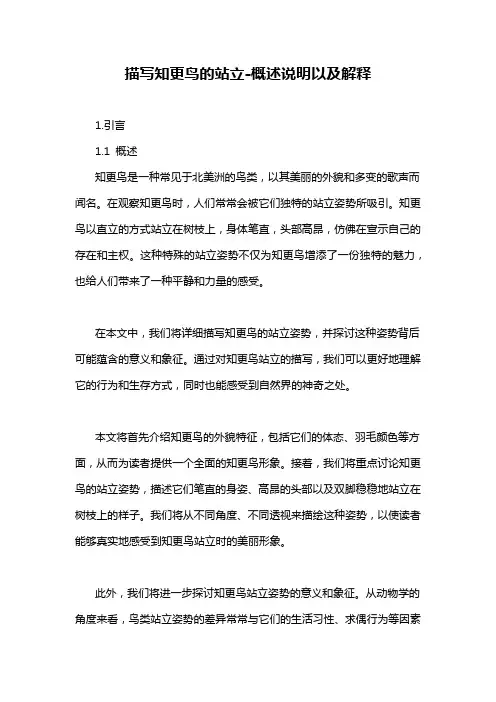 描写知更鸟的站立-概述说明以及解释