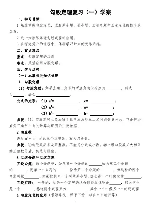 勾股定理复习学案1